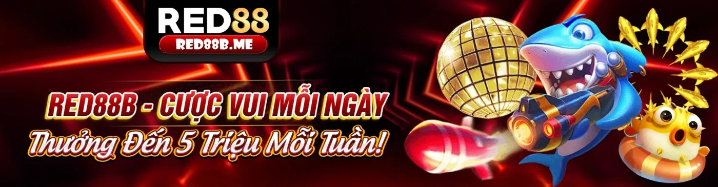 Cơ hội hợp tác cùng F16807 2026